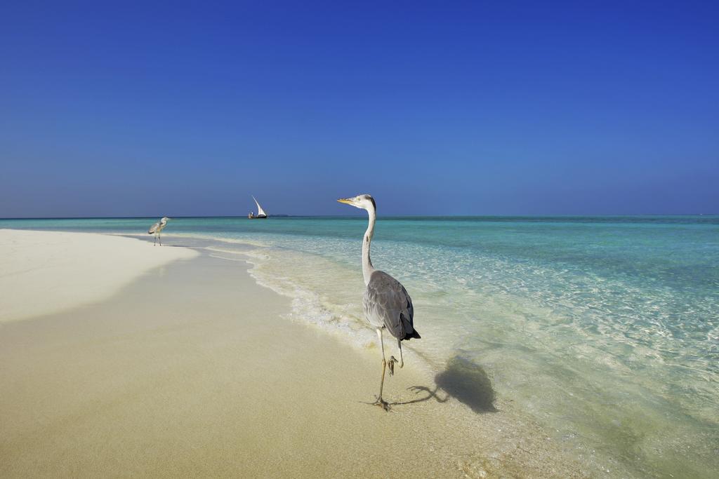 Arora Inn Maafushi Exterior photo